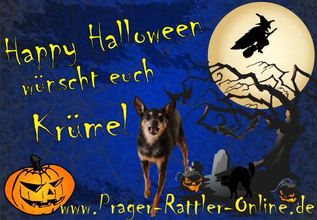 An den Beitrag angehängtes Bild: http://daten.prager-rattler-online.de/bilder/Halloweengruss2013.jpg
